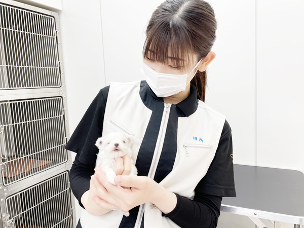 ☆ペットショップ実習☆